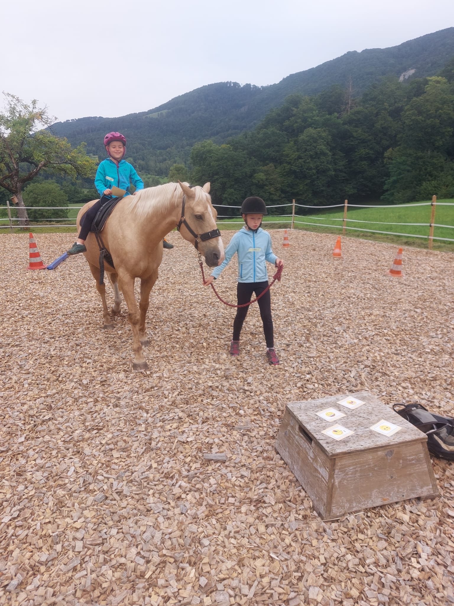 ...lebensfreude pferde...