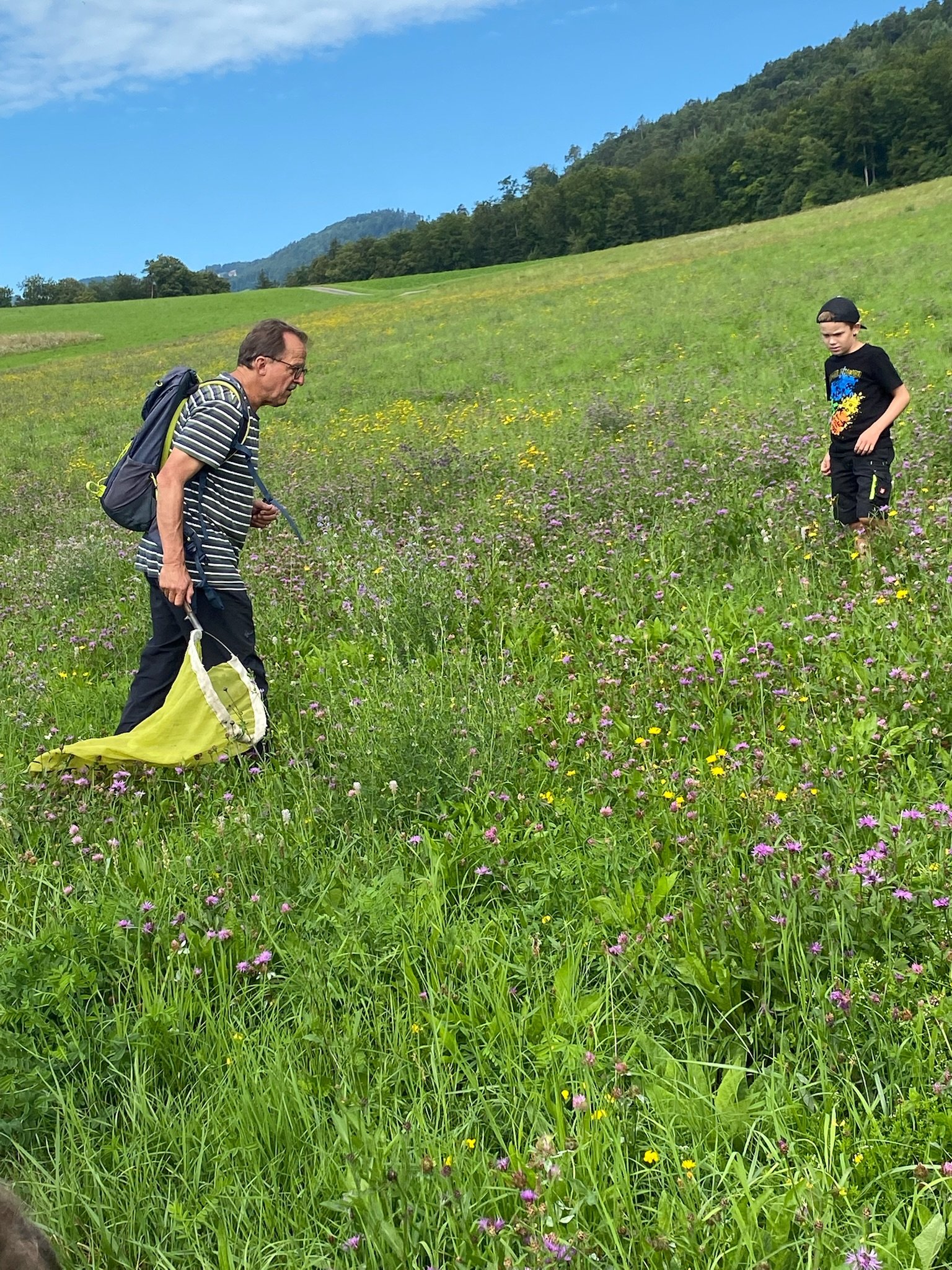 ...wer singt den da?...