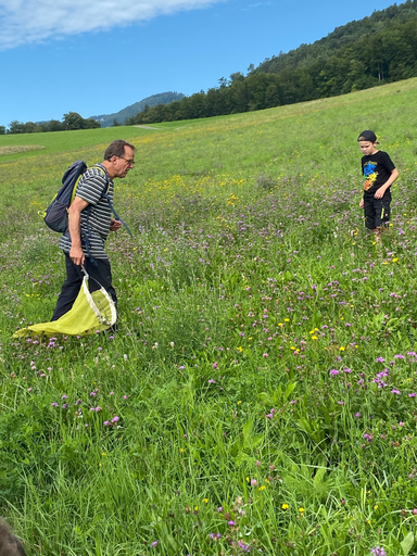 ...wer singt den da?...