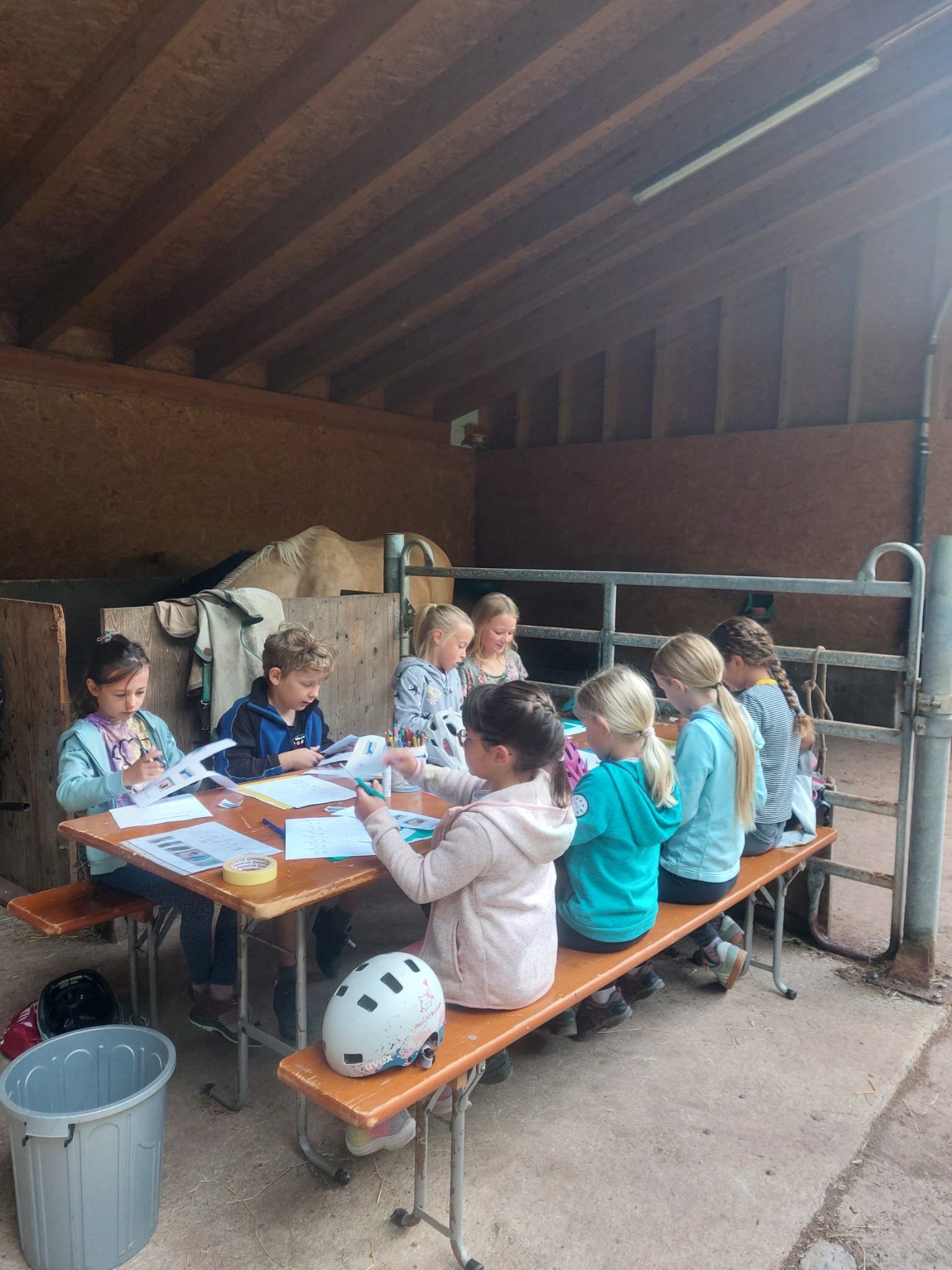 ...lebensfreude pferde...