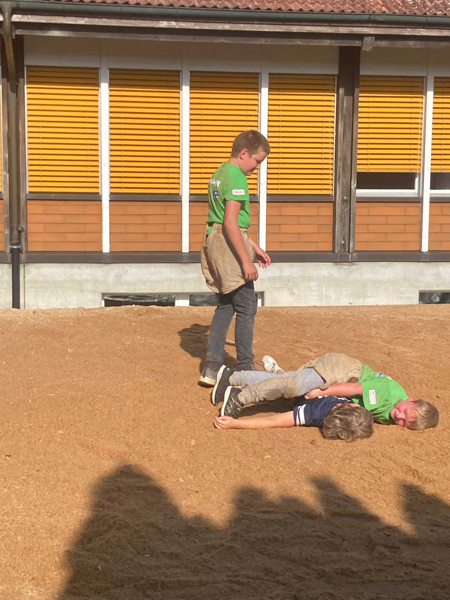 ...ab ins Sägemehl...