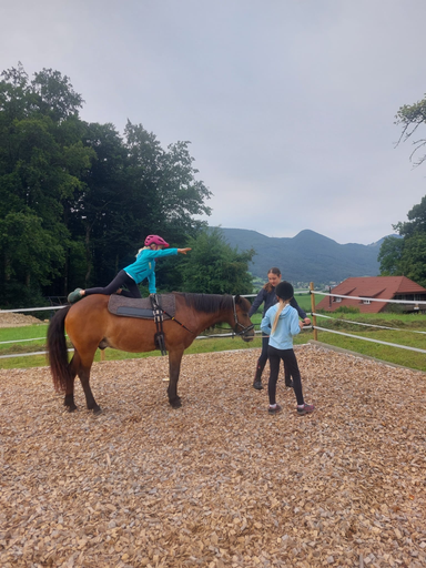 ...lebensfreude pferde...