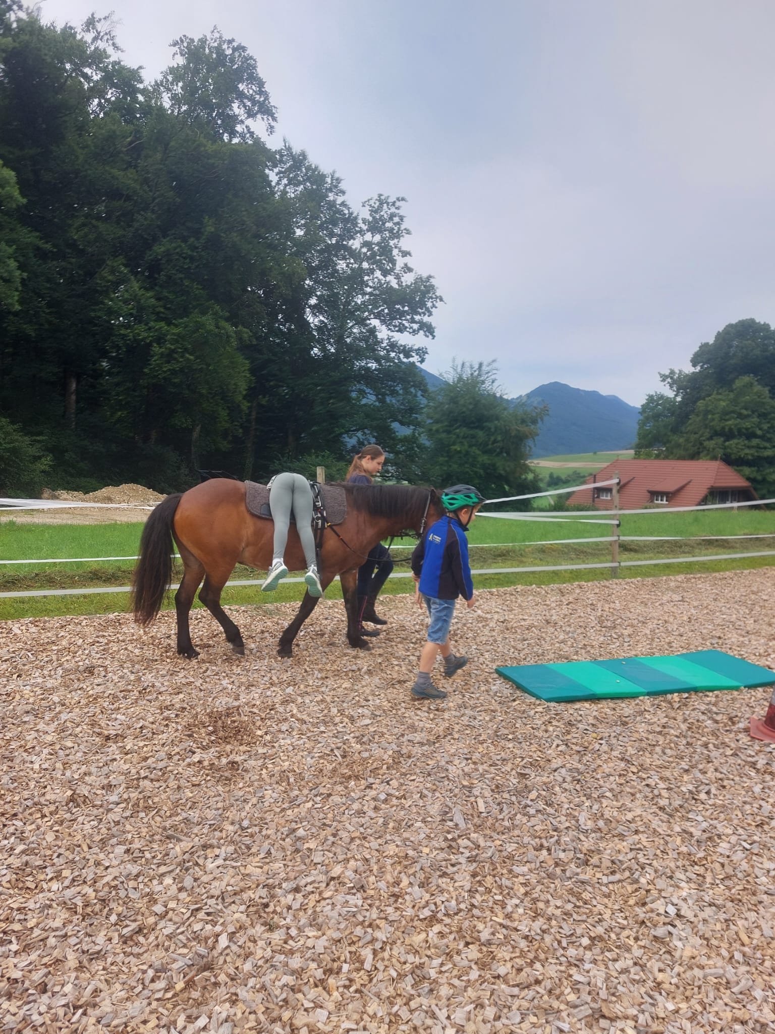 ...lebensfreude pferde...