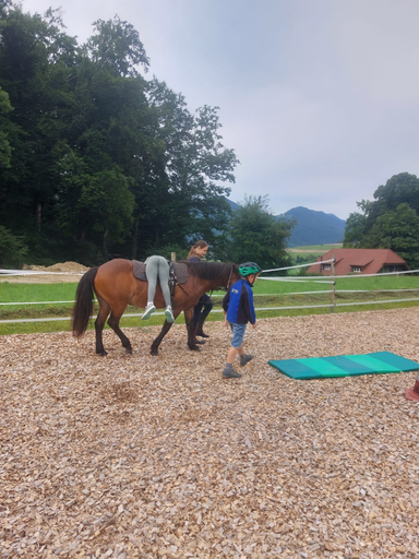 ...lebensfreude pferde...