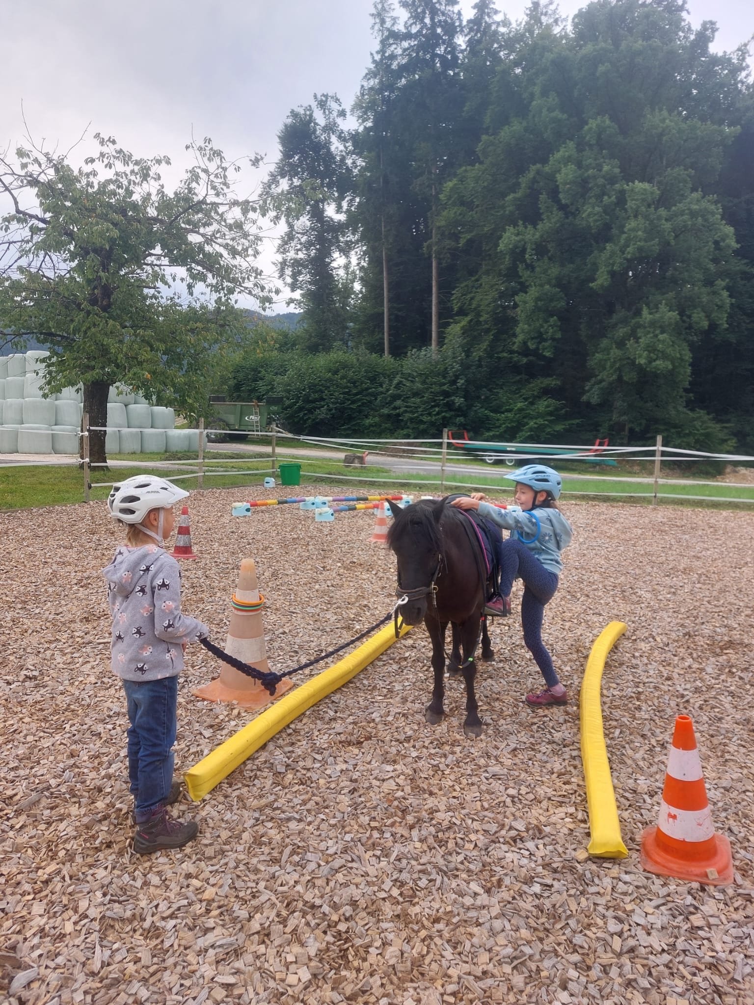 ...lebensfreude pferde...