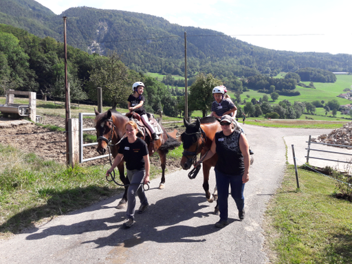 Pferde und Reiten 2019