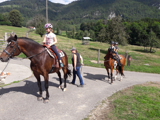 Pferde und Reiten 2019