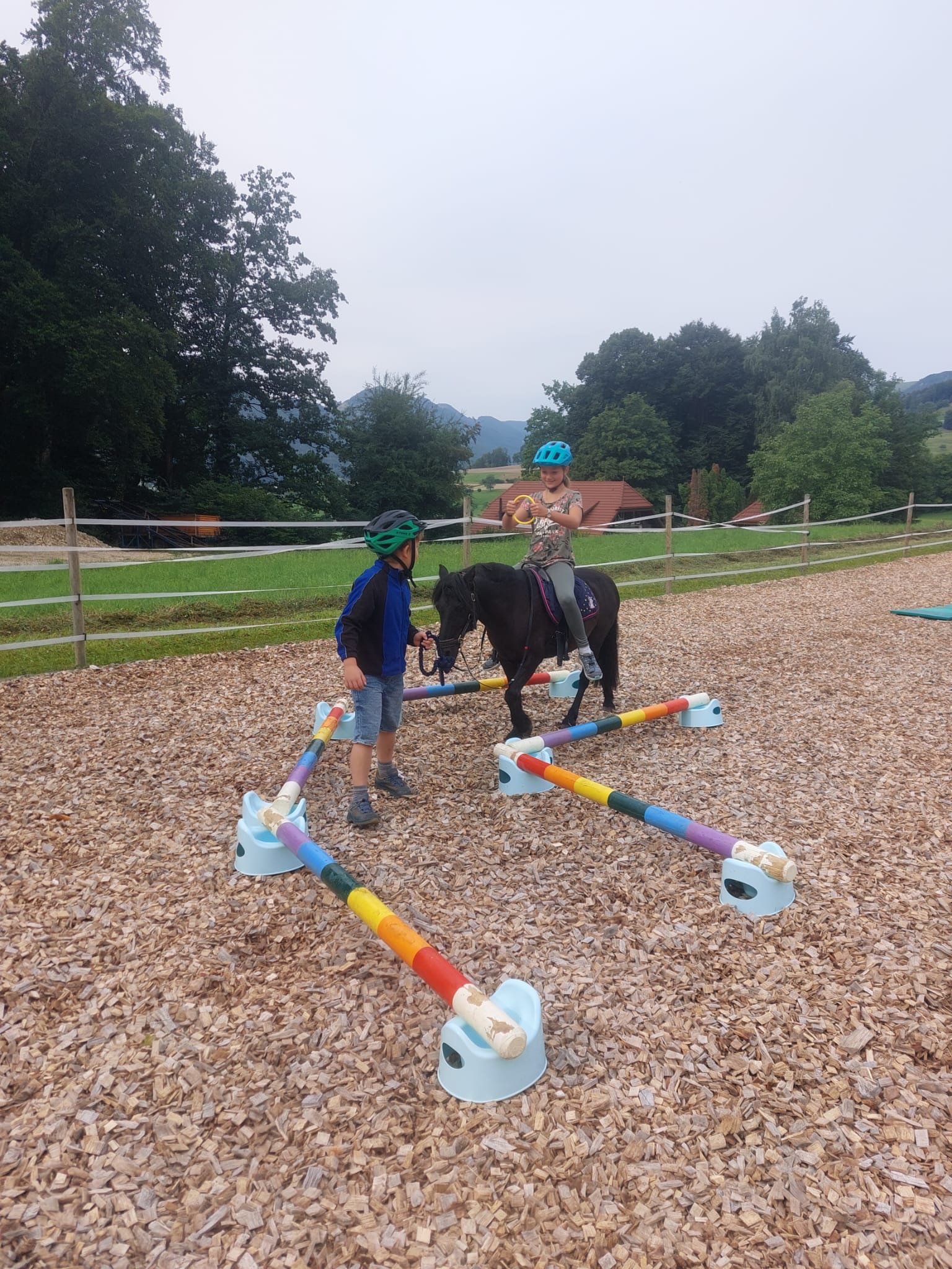 ...lebensfreude pferde...