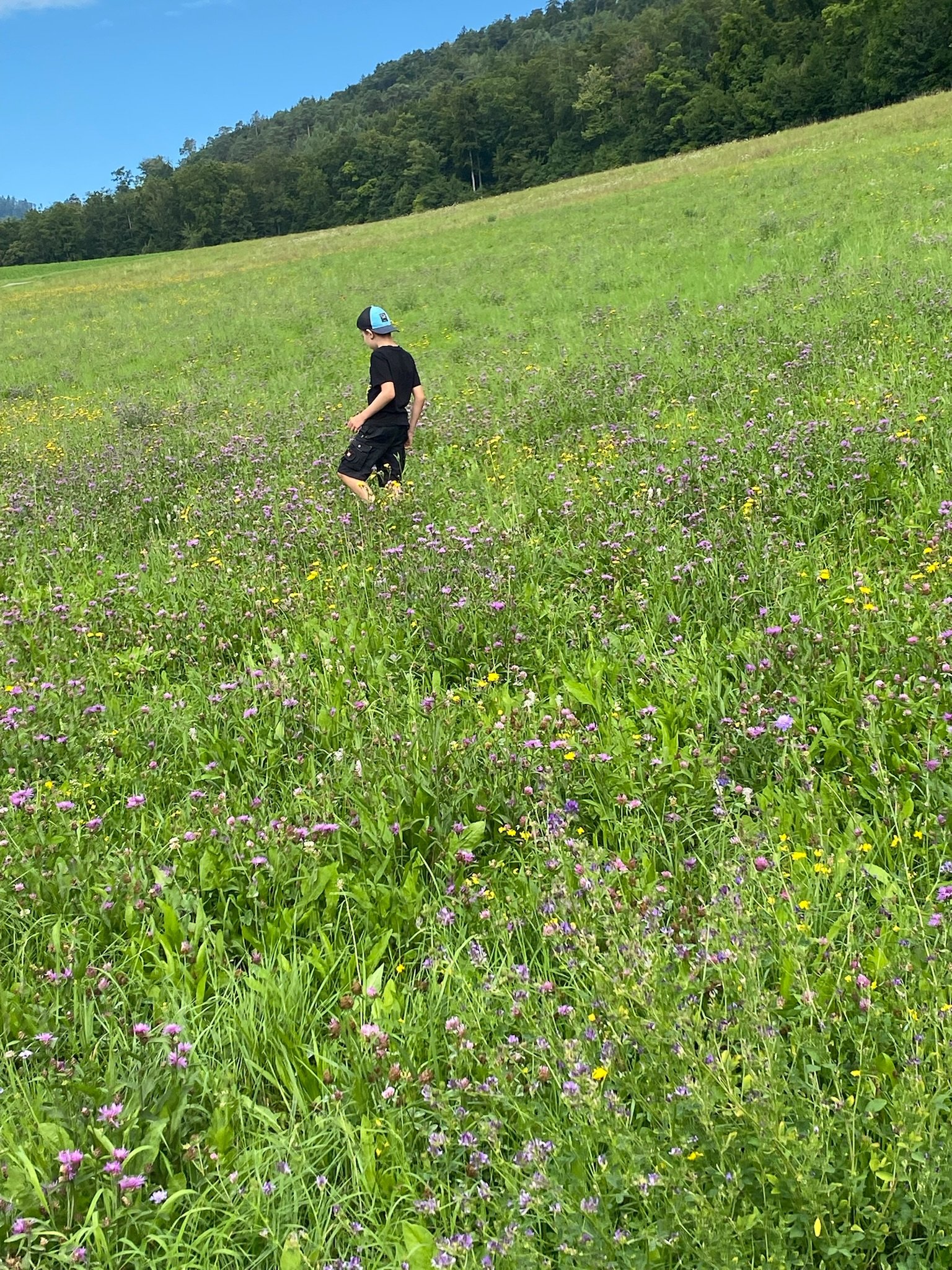 ...wer singt den da?...