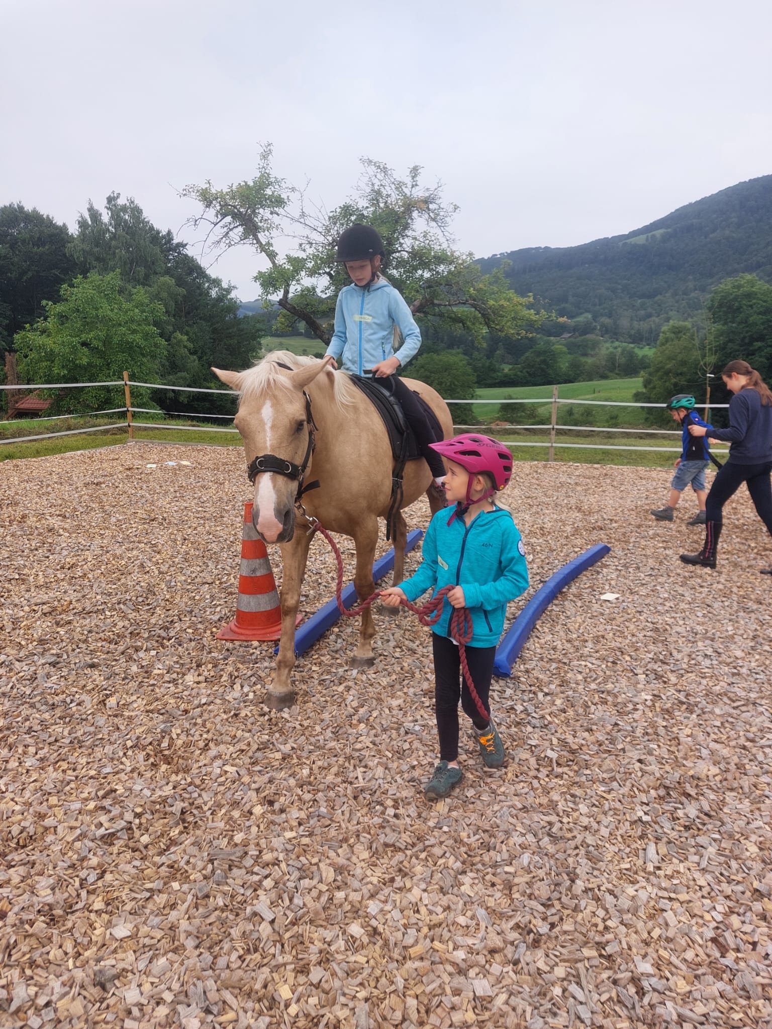 ...lebensfreude pferde...