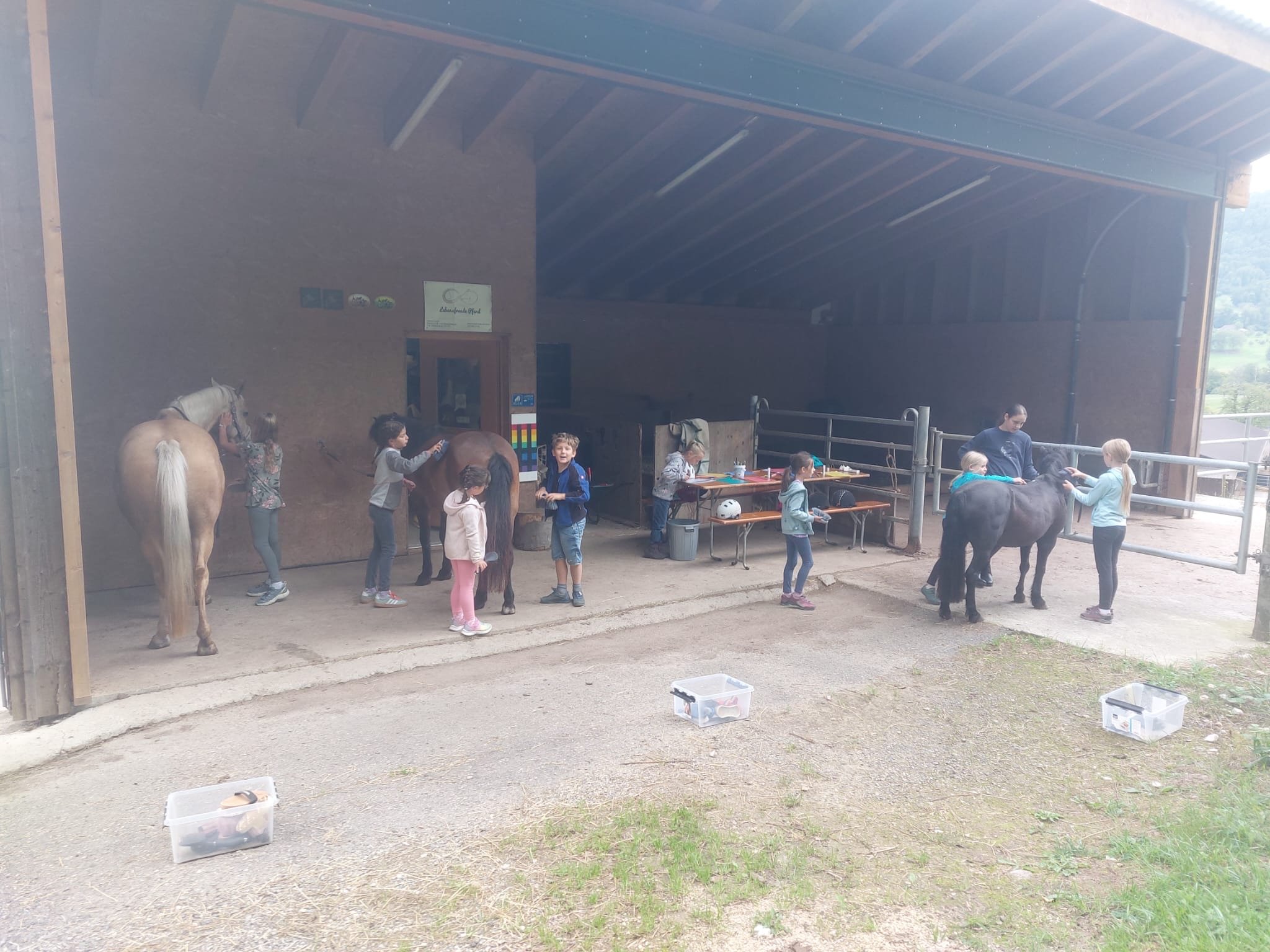 ...lebensfreude pferde...