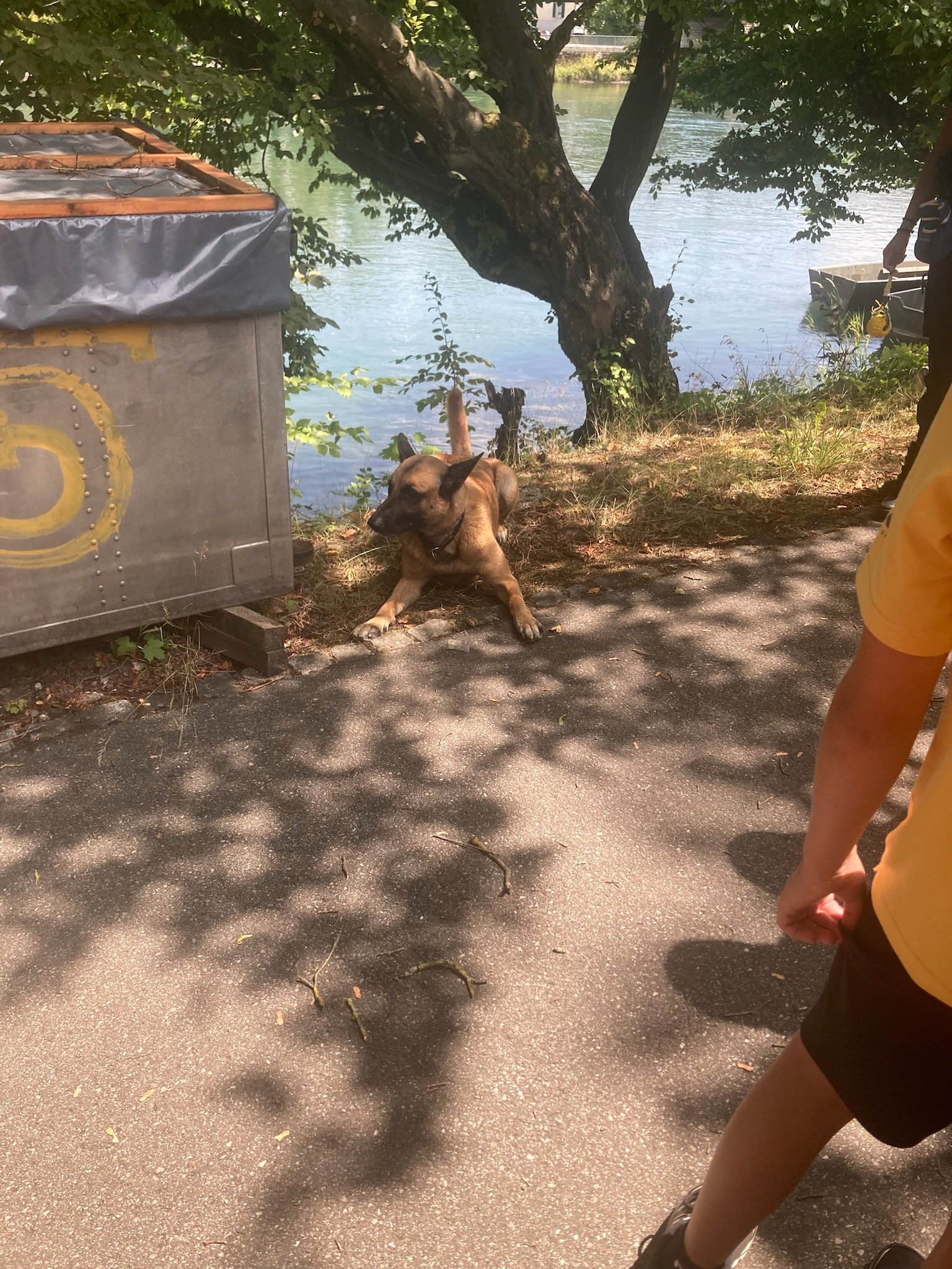 ...polizei kanton solothurn...
