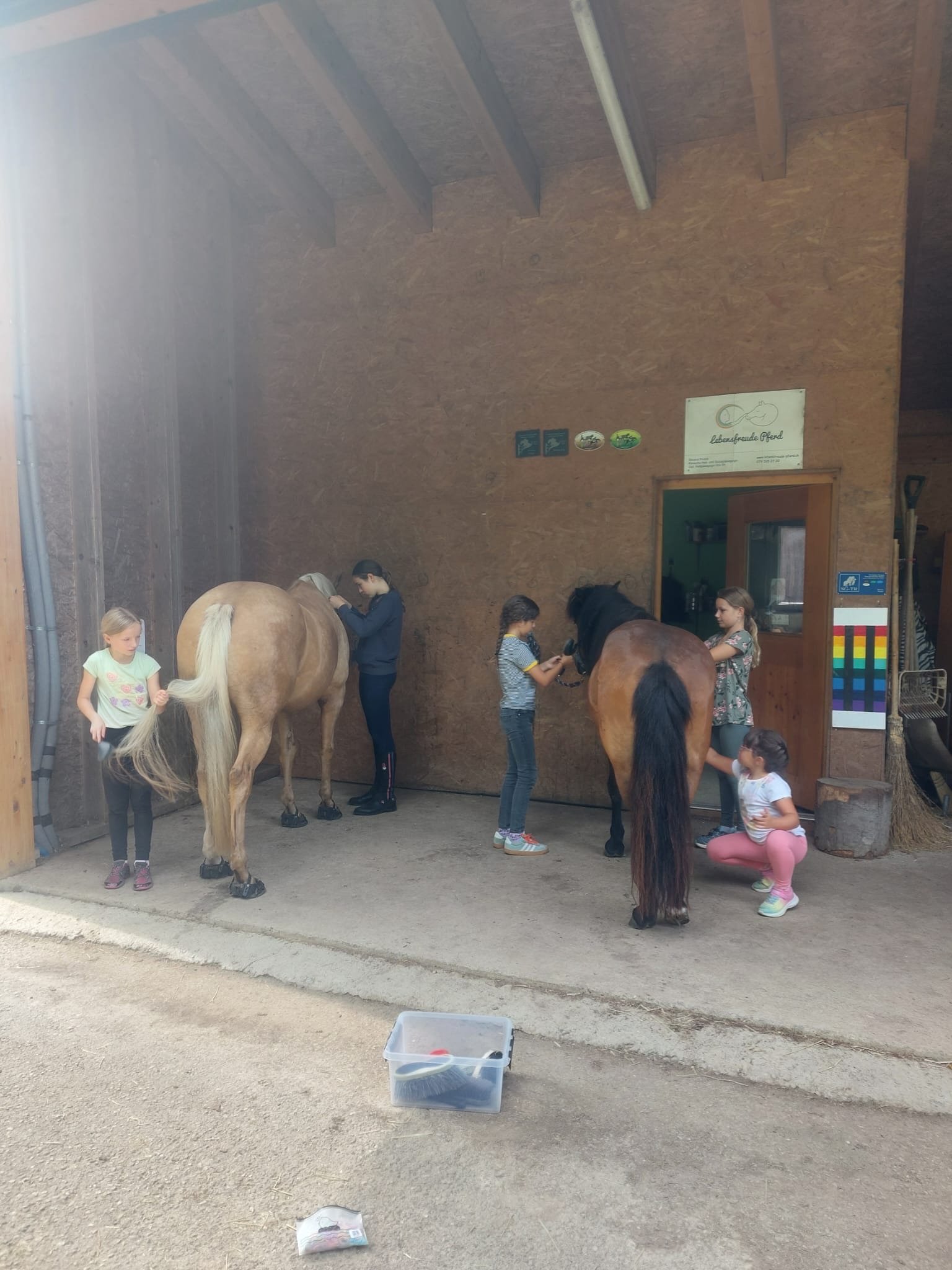 ...lebensfreude pferde...