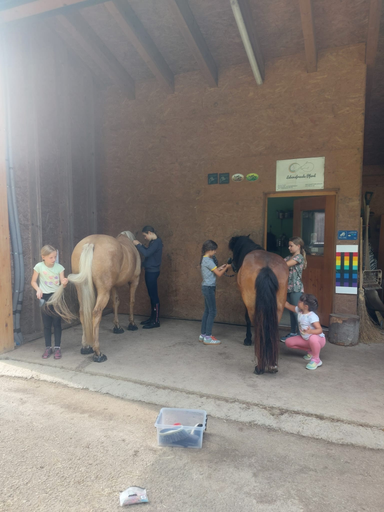 ...lebensfreude pferde...