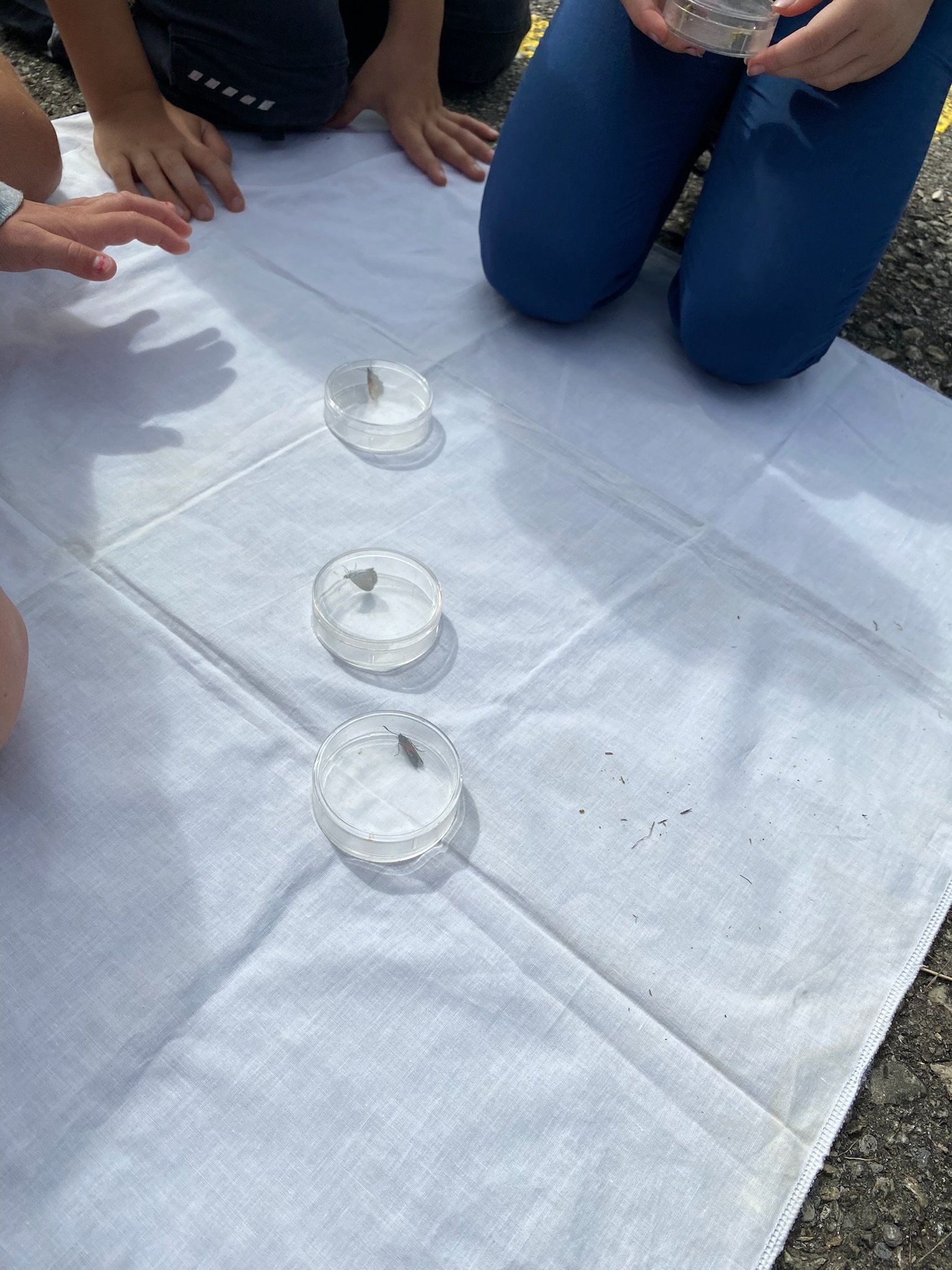 ...wer singt den da?...