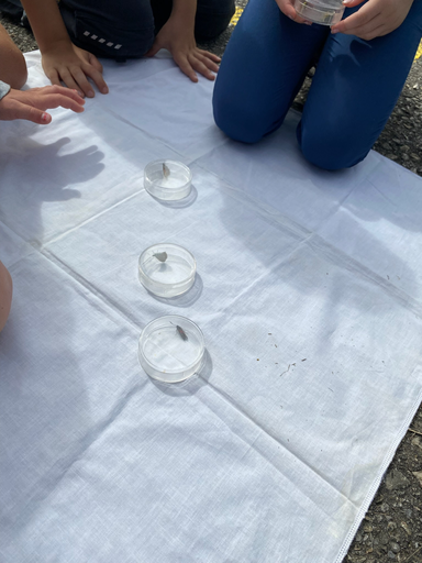 ...wer singt den da?...