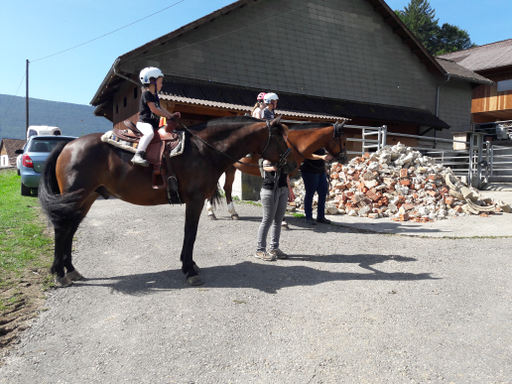 Pferde und Reiten 2019