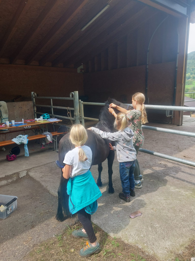 ...lebensfreude pferde...