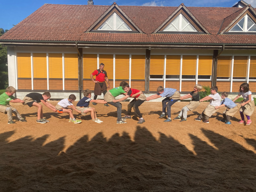 ...ab ins Sägemehl...