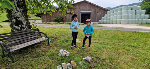 ...lebensfreude pferde...