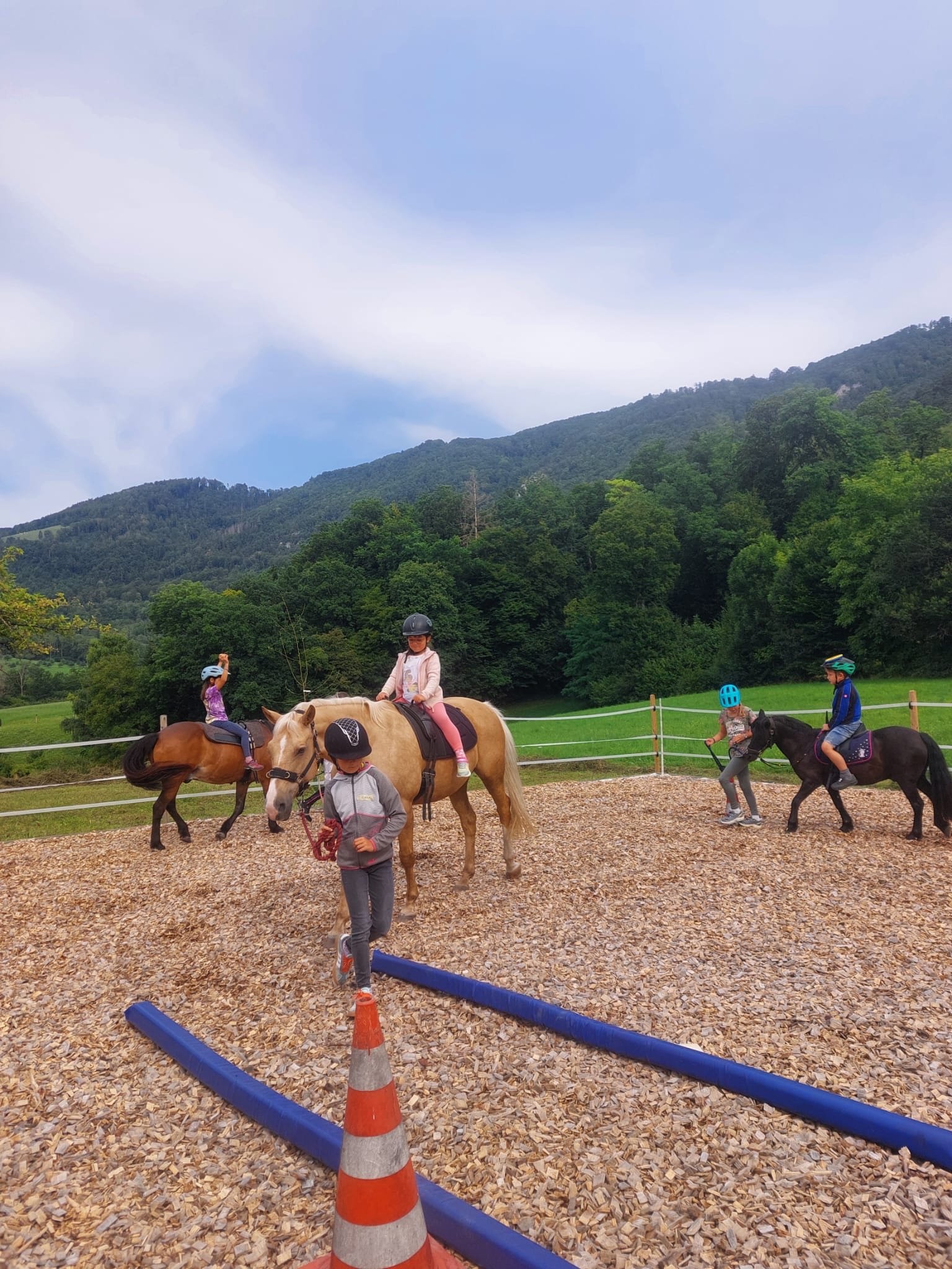 ...lebensfreude pferde...