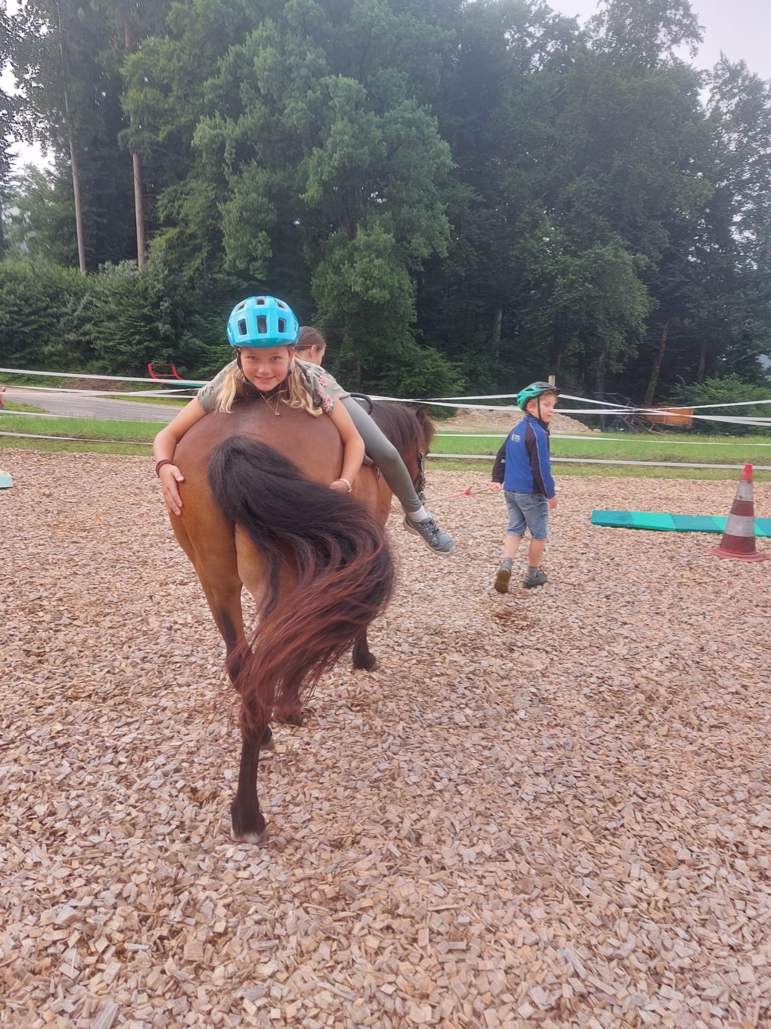 ...lebensfreude pferde...