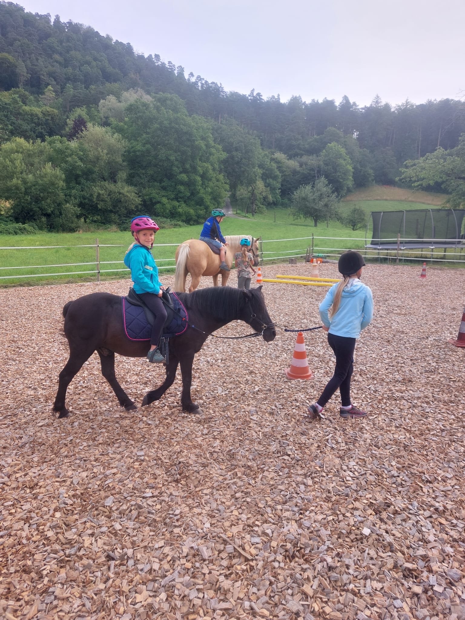 ...lebensfreude pferde...