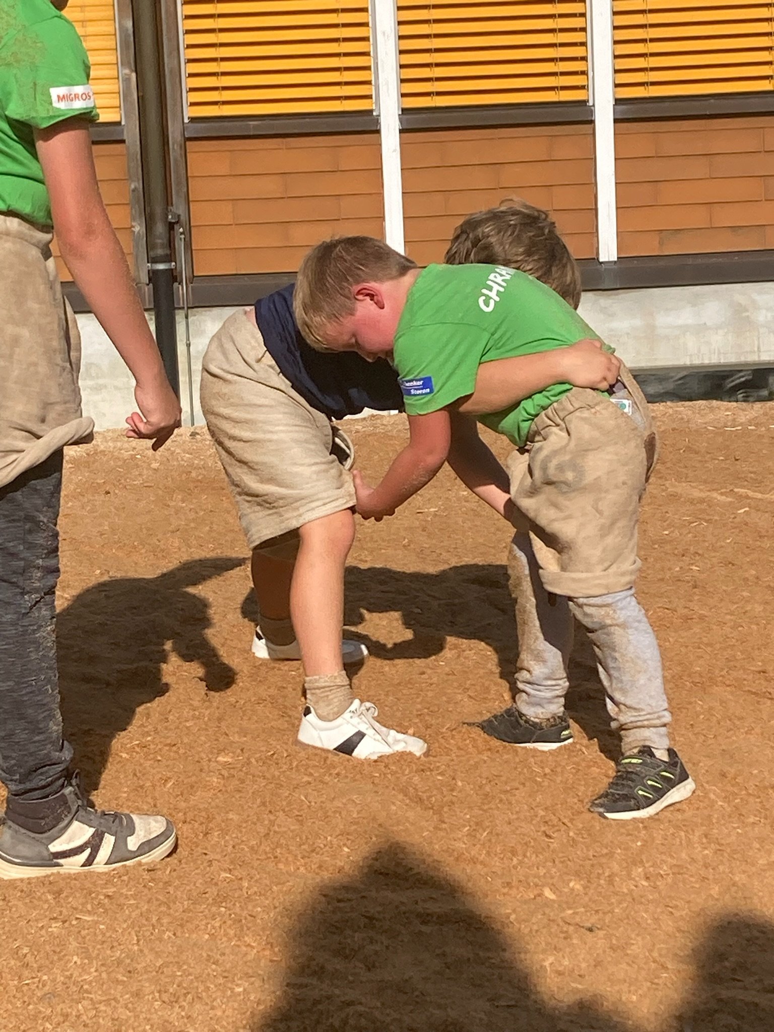 ...ab ins Sägemehl...