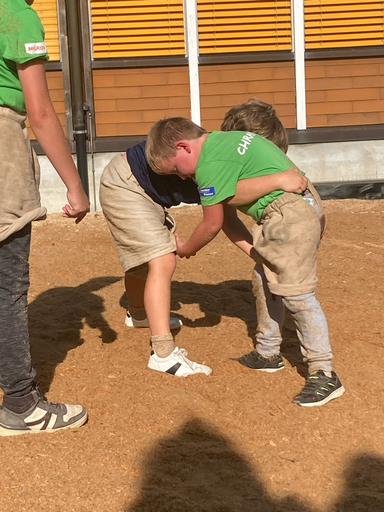 ...ab ins Sägemehl...