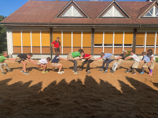 ...ab ins Sägemehl...