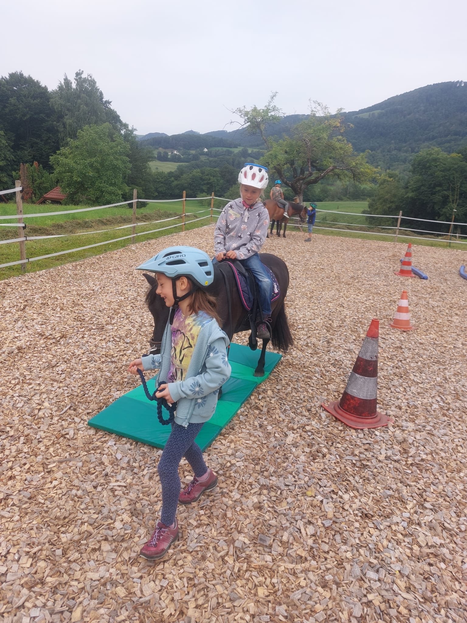 ...lebensfreude pferde...