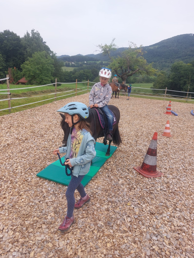 ...lebensfreude pferde...