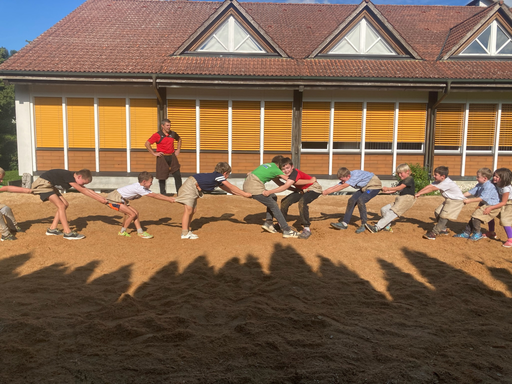 ...ab ins Sägemehl...