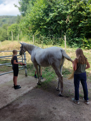 Reiten 2