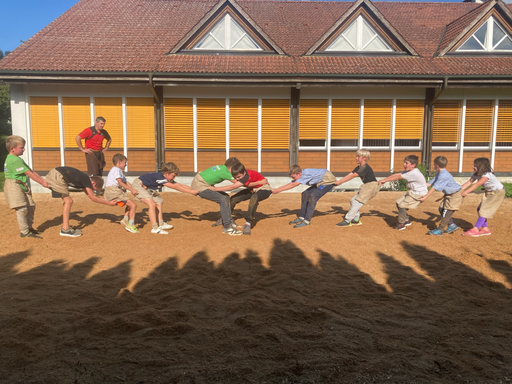 ...ab ins Sägemehl...