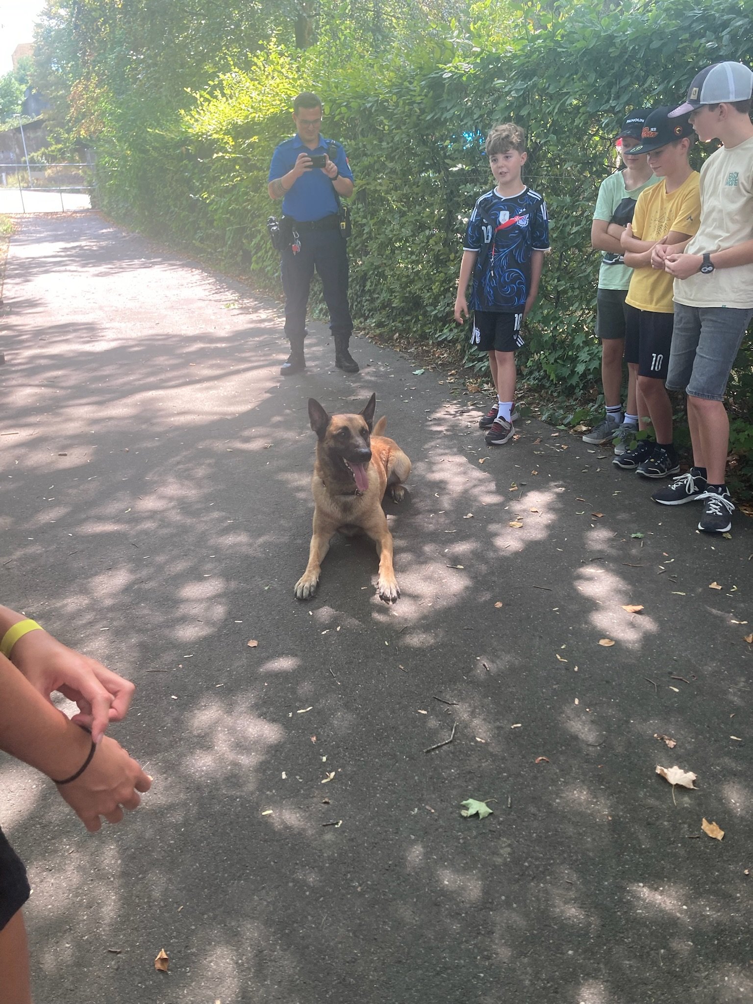 ...polizei kanton solothurn...