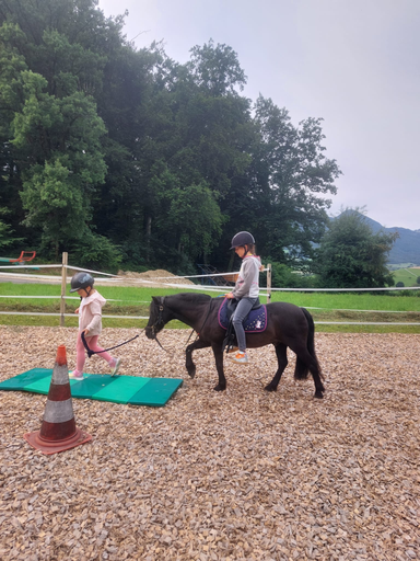 ...lebensfreude pferde...