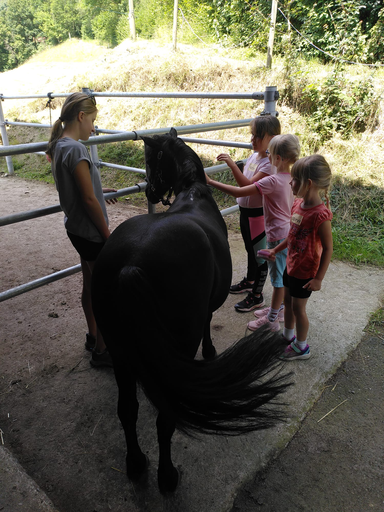 Reiten 1