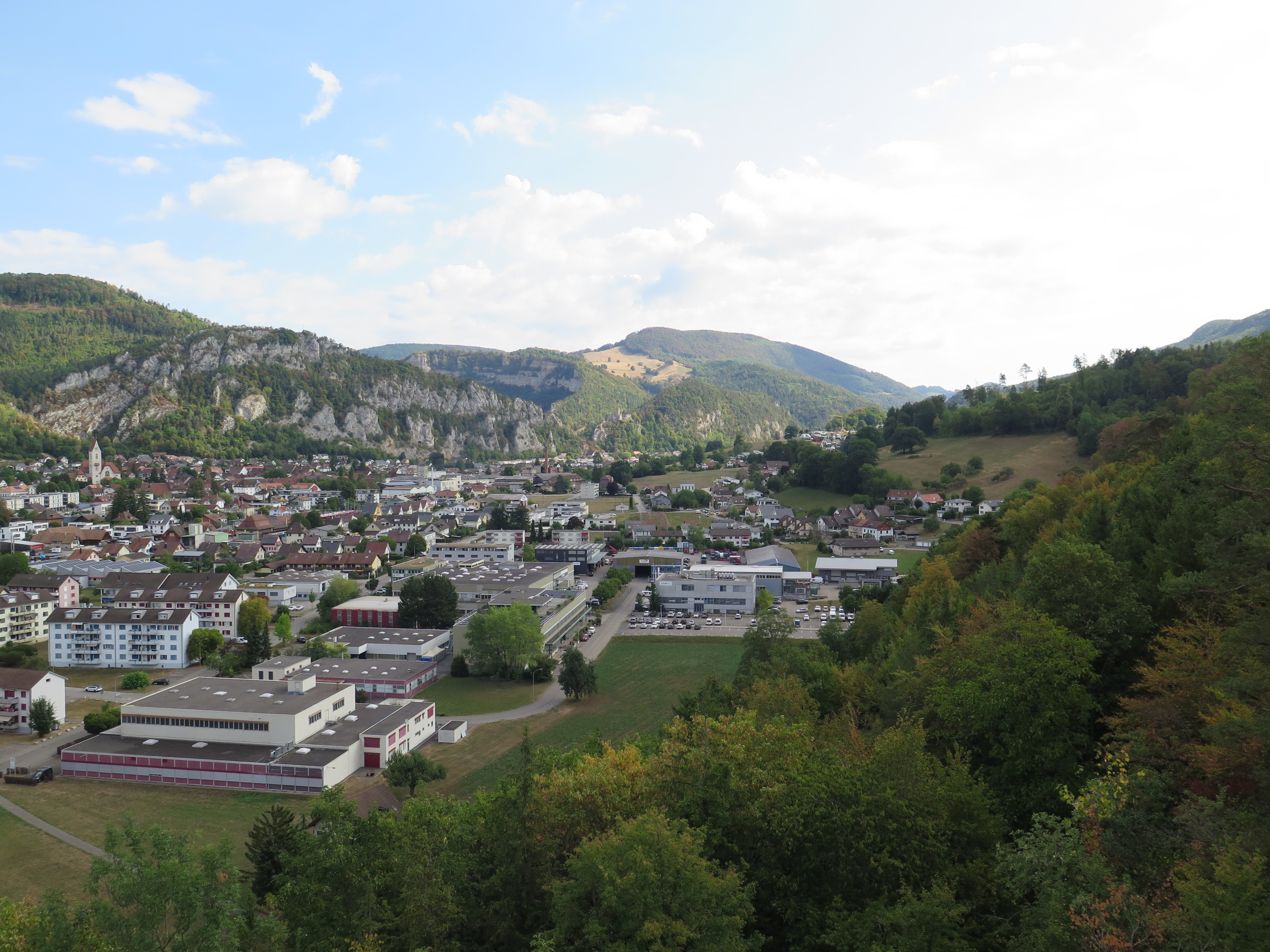 ...waldkrimi...