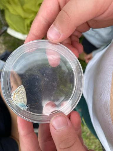 ...wer singt den da?...