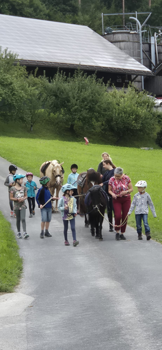 ...lebensfreude pferde...