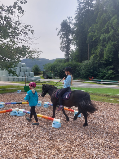 ...lebensfreude pferde...