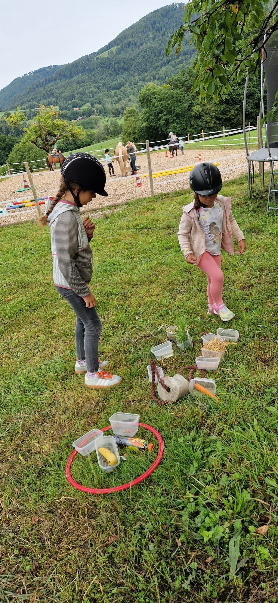 ...lebensfreude pferde...