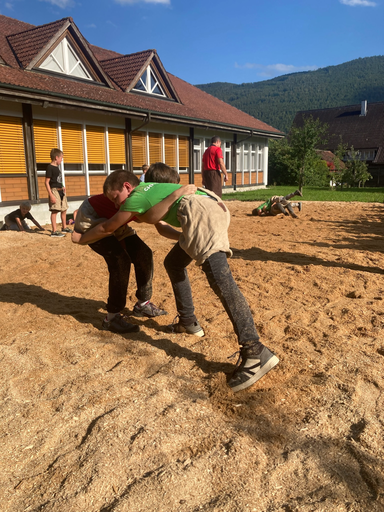 ...ab ins Sägemehl...