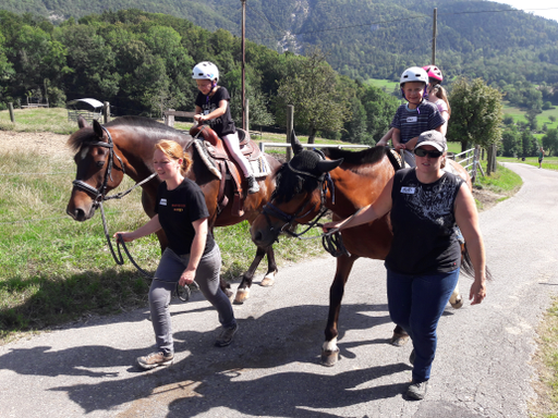 Pferde und Reiten 2019