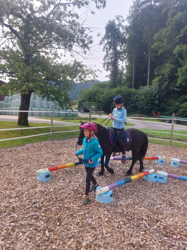 ...lebensfreude pferde...