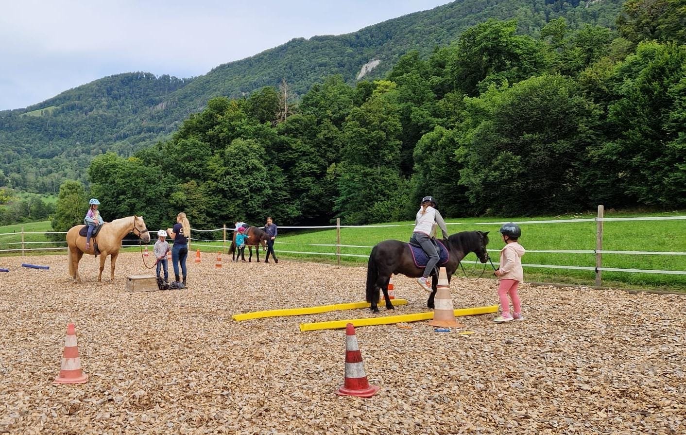 ...lebensfreude pferde...