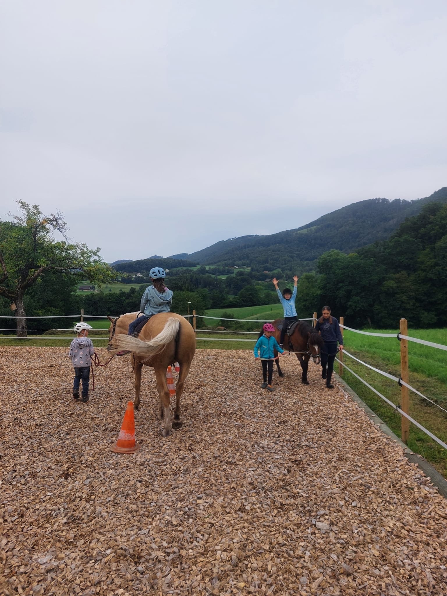 ...lebensfreude pferde...