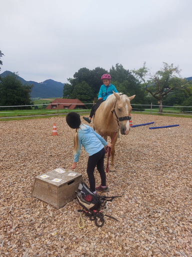 ...lebensfreude pferde...