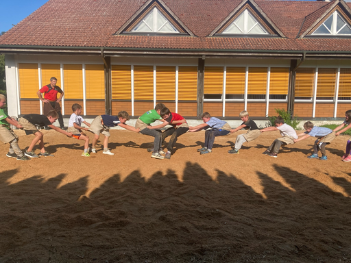 ...ab ins Sägemehl...